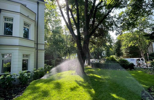 Bewässerung Uhlenhorst